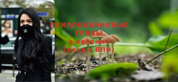 ПСИЛОЦИБИНОВЫЕ ГРИБЫ Балабаново