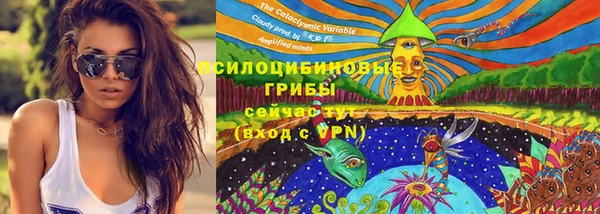 ПСИЛОЦИБИНОВЫЕ ГРИБЫ Балабаново