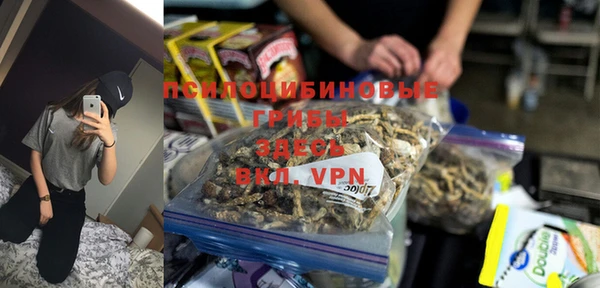 ПСИЛОЦИБИНОВЫЕ ГРИБЫ Балабаново