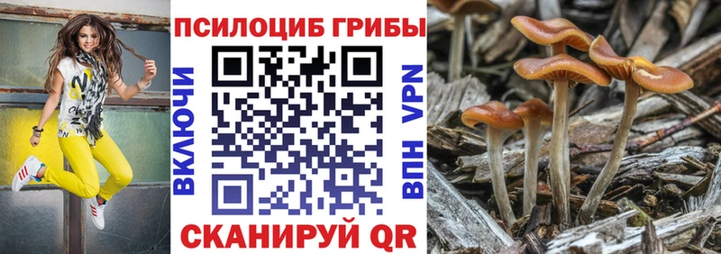 сколько стоит  Семёнов  ОМГ ОМГ зеркало  Псилоцибиновые грибы мицелий 